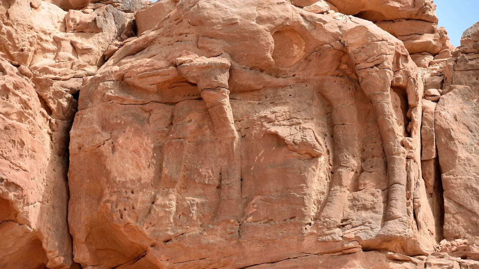 Séria sôch tiav nájdených v saudskoarabskej provincii Al-Jawf bola pôvodne považovaná za starú približne 2000 rokov.  Pomocou rôznych meracích nástrojov tím archeológov určil, že sochy sú v skutočnosti staré 7 000 až 8 000 rokov.